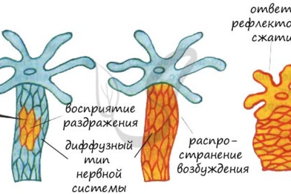 Кракен ворует аккаунты